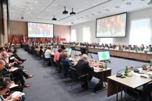 OSCE a analizat impactul prăbuşirii dronei ruseşti la Galaţi asupra securităţii regionale